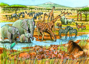Out of Africa Tray Puzzle