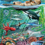 Life on the Pacific Ocean Tray Puzzle