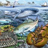 Life in the Atlantic Ocean Tray Puzzle