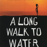 Long Walk to Water