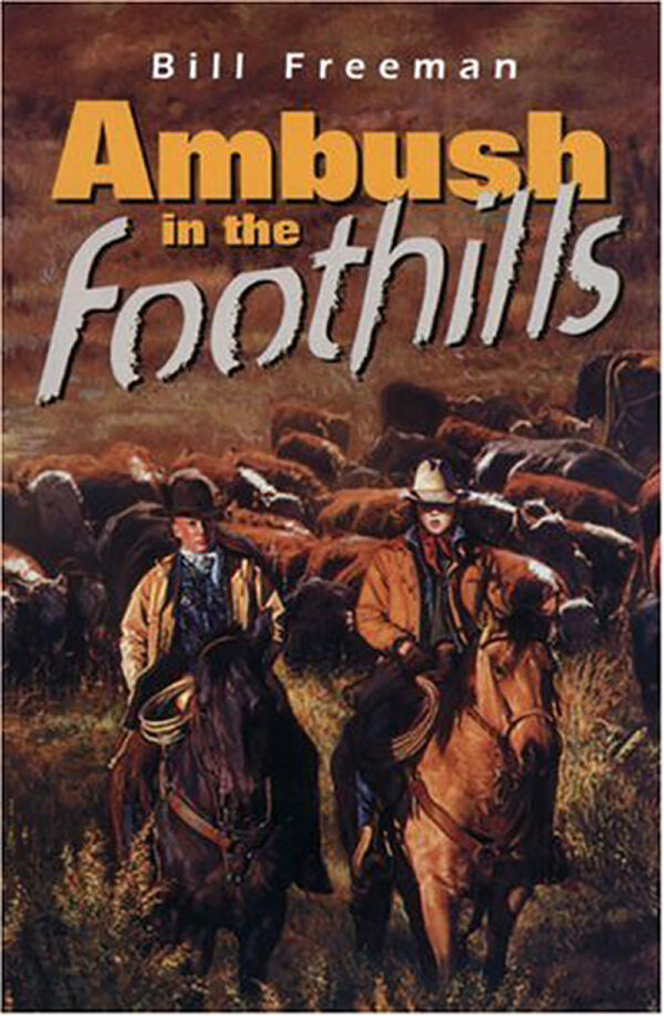Ambush in the Foothills (Bains Series Book 9)