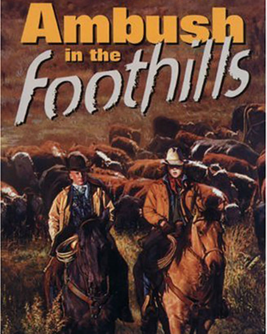 Ambush in the Foothills (Bains Series Book 9)