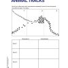 Be a Detective - Animal Tracks Printable - Image 2