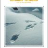 Be a Detective - Animal Tracks Printable