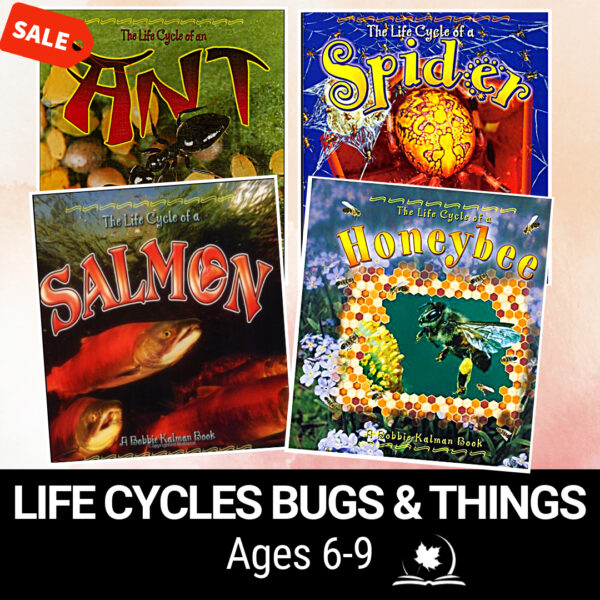 Life Cycles of Bugs and Things