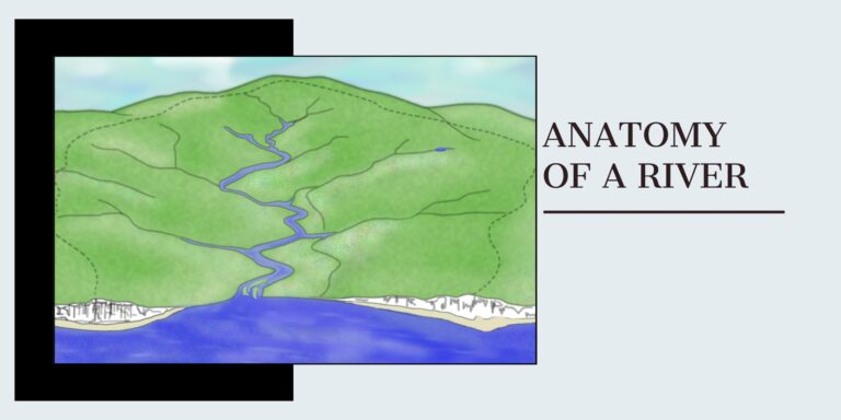 Anatomy of a River