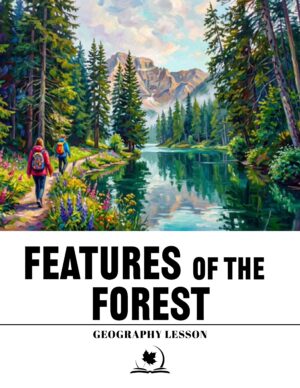 Features of the Forest
