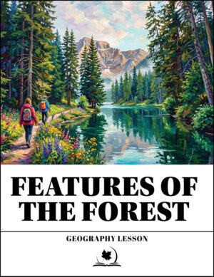 Features of the Forest